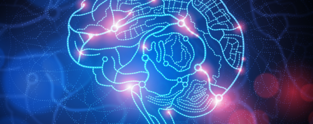 algoritmus frissítés